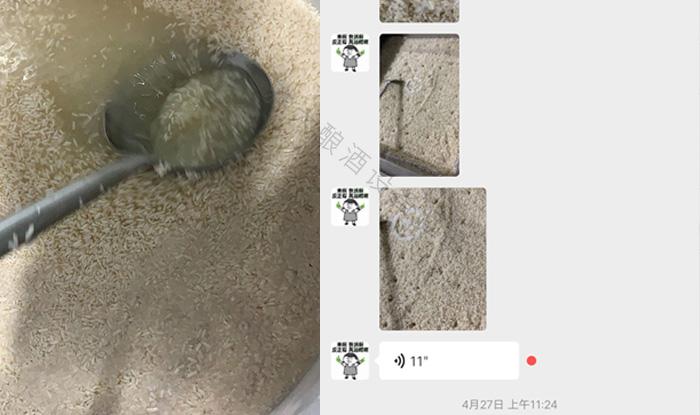 受疫情影響不讓養(yǎng)蛇，用電加熱釀酒設(shè)備做酒迎來新未來！ 3