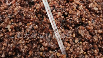 做酒設(shè)備釀固態(tài)高粱酒控制好這5個溫度，出酒率瞬間提高！