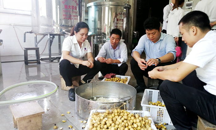 12.24雅大夏季教學(xué)員釀造的龍眼酒