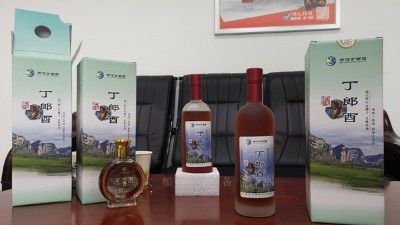 農(nóng)村到處可見的野果，用小型白酒設(shè)備釀成酒被稱為男人的加油站！