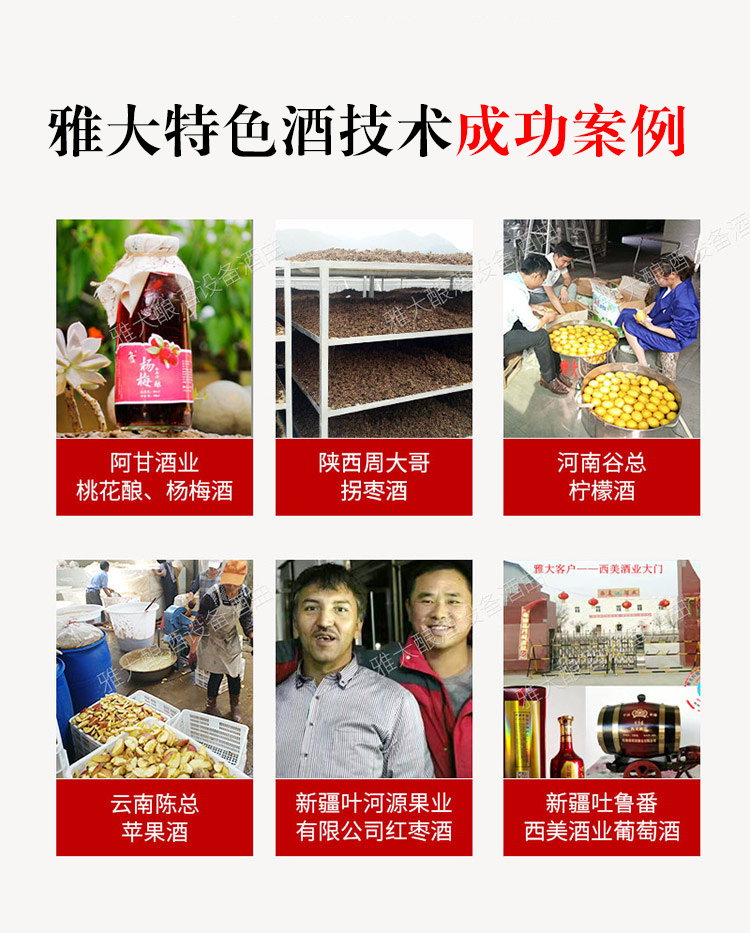 雅大特色酒技術成功案例 3