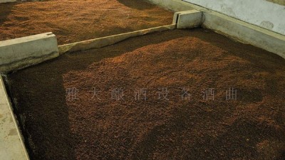 做固態(tài)酒容易酸酒怎么辦？釀酒設(shè)備廠家釀酒師為您支招！