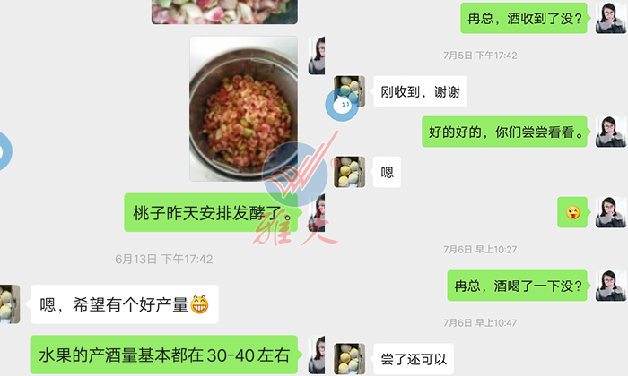 10.28雅大幫忙研發(fā)的黃桃酒，冉總品嘗后很滿意