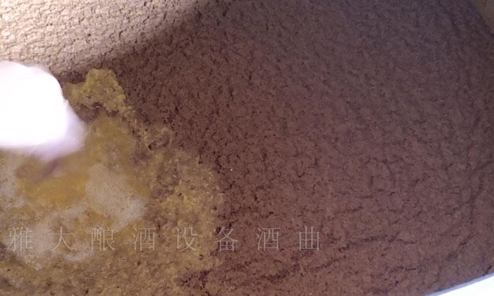 10.28蔣總上門(mén)指導(dǎo)黃桃發(fā)酵2