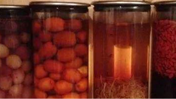 蒸餾釀酒設備：常見的6種野果，泡成酒連老酒鬼們都念念不忘！