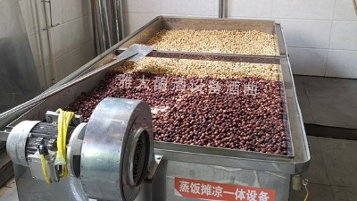 蓮子酒怎么做？11步教您用小型酒廠釀酒設(shè)備做出美味蓮子酒
