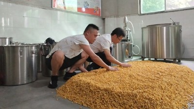 零基礎(chǔ)用做酒設備釀酒，必須要掌握糖化和酒化的6大要點！