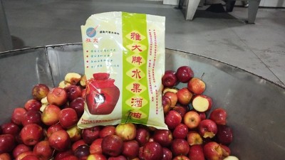 龍豐果酒怎么釀？雅大小型酒廠釀酒設備現(xiàn)場教您釀！